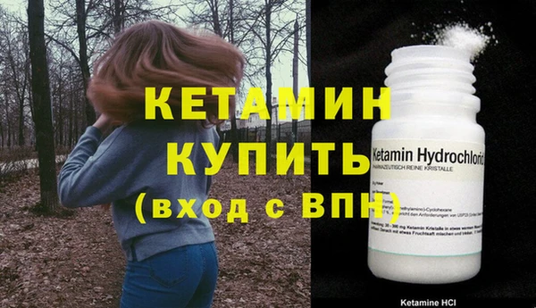 индика Медвежьегорск