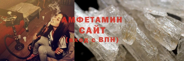индика Медвежьегорск