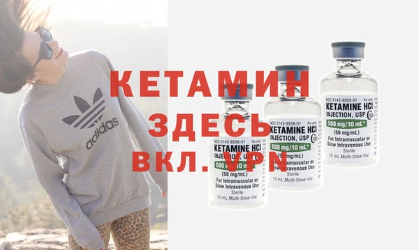 индика Медвежьегорск