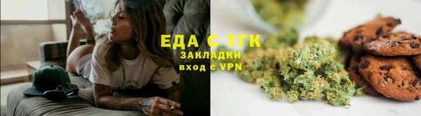 индика Медвежьегорск