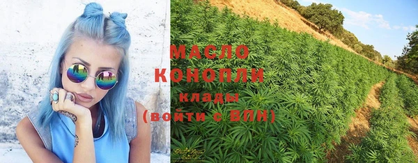индика Медвежьегорск