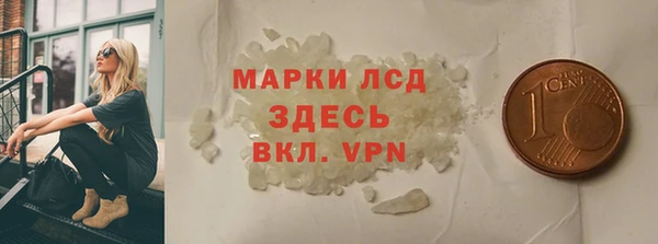 индика Медвежьегорск