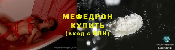 индика Медвежьегорск