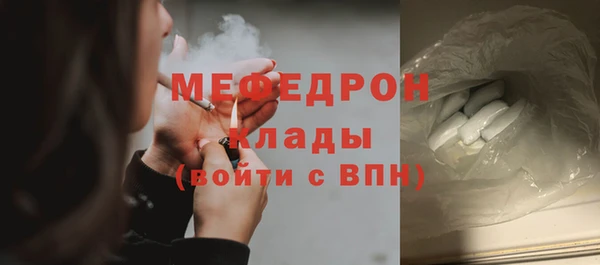 индика Медвежьегорск