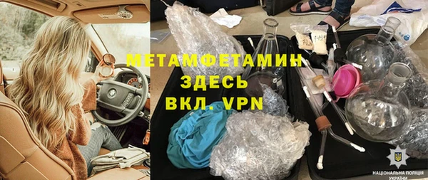 индика Медвежьегорск