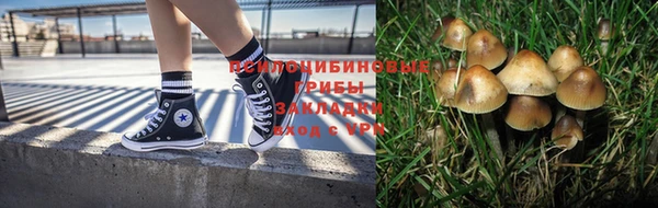 индика Медвежьегорск
