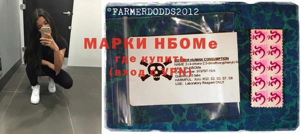 индика Медвежьегорск