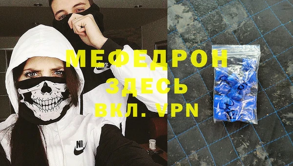 индика Медвежьегорск