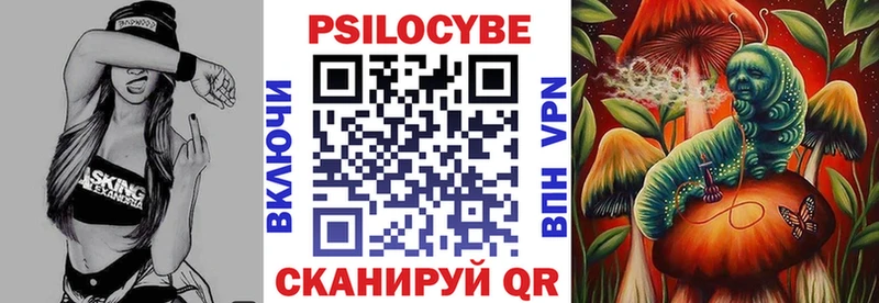 Купить  Щигры  Псилоцибиновые грибы Magic Shrooms 