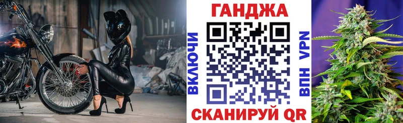Купить Щигры Бошки Шишки план